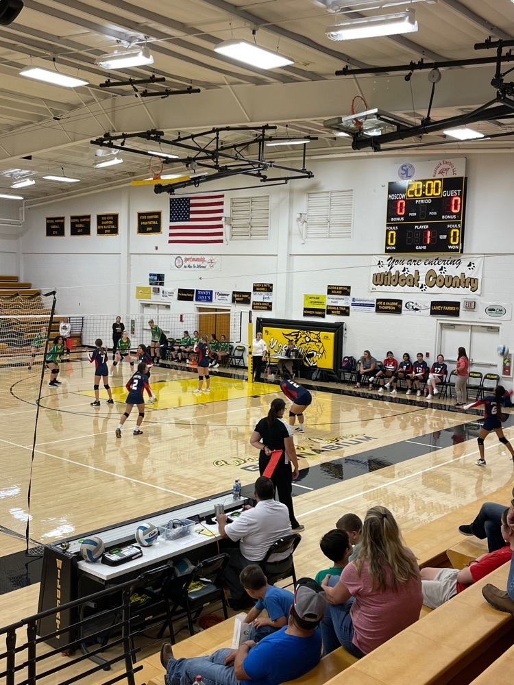 JV VB